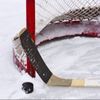 hockeylk17_wildcats