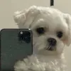 kimberlyserrano