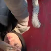 ninnnnnae