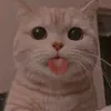 vyynntt23