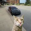 uconcepts