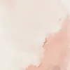 cleanwithnessi