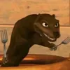 doggy.doggywhatnow