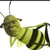lice_mommy