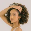 libellule_b