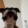 miriphpf