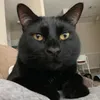 faithmarie3825