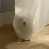 ginothepom