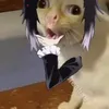autijhoobpyxtu
