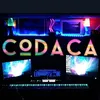 .codaca