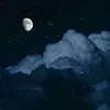 shreya__179