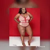 bigash_bigkhrit