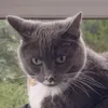 veryspicysoup