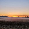midgey_1089