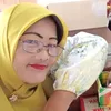 sefacantik33