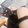 caca.jhn20