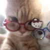 mommygotanymilk