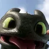 nikolijohnson