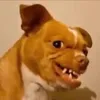 maarmelendez