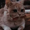 ntcntqqq