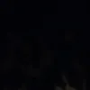 kerrybear7