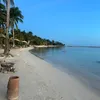 nurisalgi5
