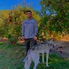 bran_don_222