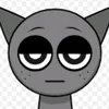 user13077244
