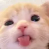K♡