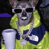 cutthroatbih42