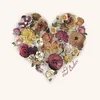 iambutterfly208