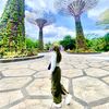 setiara89