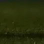 ditinjo1212