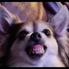 fcutxhukhdwsc