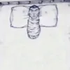feliciathegaot
