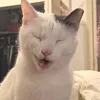 jalvnn