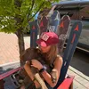 lindseyschultzz