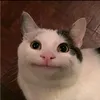 reassus