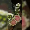 rfk_adisti