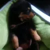 nellybean14