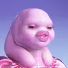 geminiwh0r3
