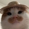 littlemissmao