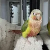 fabianagonzalezsc