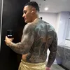 bronsonots
