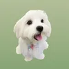 kikothemaltese12