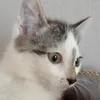 _.lisa1234