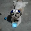 sayymyynamee