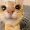 haleyhmmm
