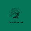 bonsai_pusat_art
