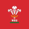 welshrugbydragon